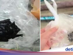 Diduga Gegara Kelelawar Hingga Konsumsi Restoran, Bocah Ini Masuk RS!