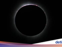 Bangsa-Bangsa ini Akansegera Melihat Gerhana Matahari Tanggal 12 Agustus
