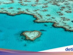 Great Barrier Reef Hingga Australia Lebihterus Terancam!