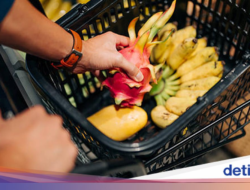 Inilah Alasan Konsumsi Buah Lebih baik Bersama Camilan Kemasan