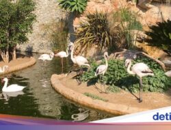 Negeri Ini Cuma Punya 1 Kebun Binatang, tapi Semua Satwa Tidak Dibeli
