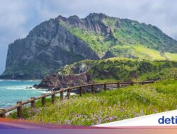 Jumlah Wisatawan Ke Jeju Menurun Sesudah Marak Rumor Pulau Horor-Orang Hilang