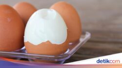 Cuma 2 Langkah, Ini Rahasia Kupas Telur Rebus agar Tetap Mulus