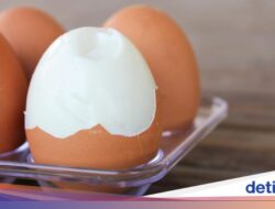 Cuma 2 Langkah, Ini Rahasia Kupas Telur Rebus agar Tetap Mulus
