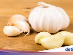Abu Vulkanik Bikin Kesejaganan Drop? 5 Minuman Ini Bisa Tingkatkan Imunitas