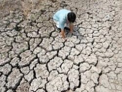 El Nino Super Kembali Sesudah 11 Tahun, Kekeringan Hebat Akansegera Menyapu Asosiasinegara-Negaraasiatenggara