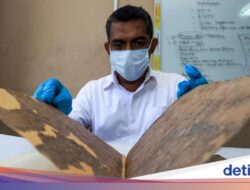 Selamatkan Warisan Sejarah, 520 Manuskrip Aceh Direstorasi Usai Genangan Air