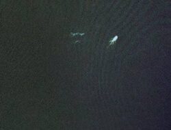 Bentuk-bentuk Misterius Tertangkap Lensa Alat Lunak Google Earth