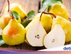 5 Buah Paling Bagus buat Pola Makan agar Berat Badan Cepat Turun