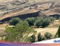 Potret Bahtera Nabi Nuh Hingga Turki