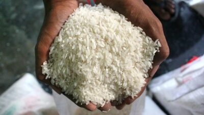 Tak Perlu Lagi Perluasan Lahan Sawah